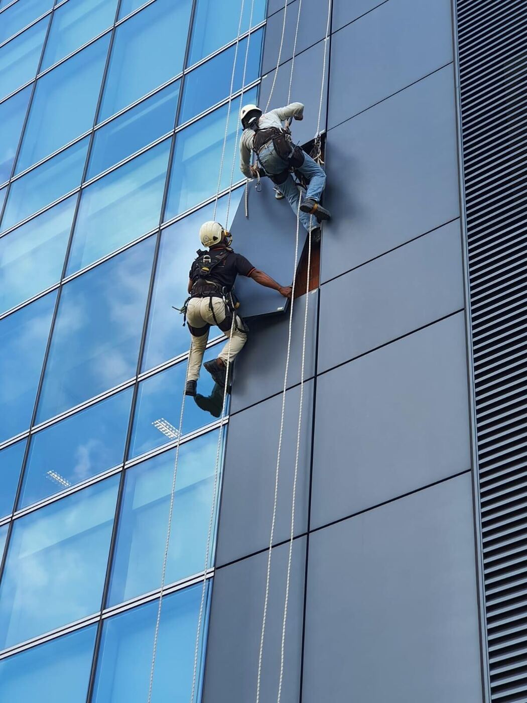Curtain Wall Inspection Singapore: Defects Guide