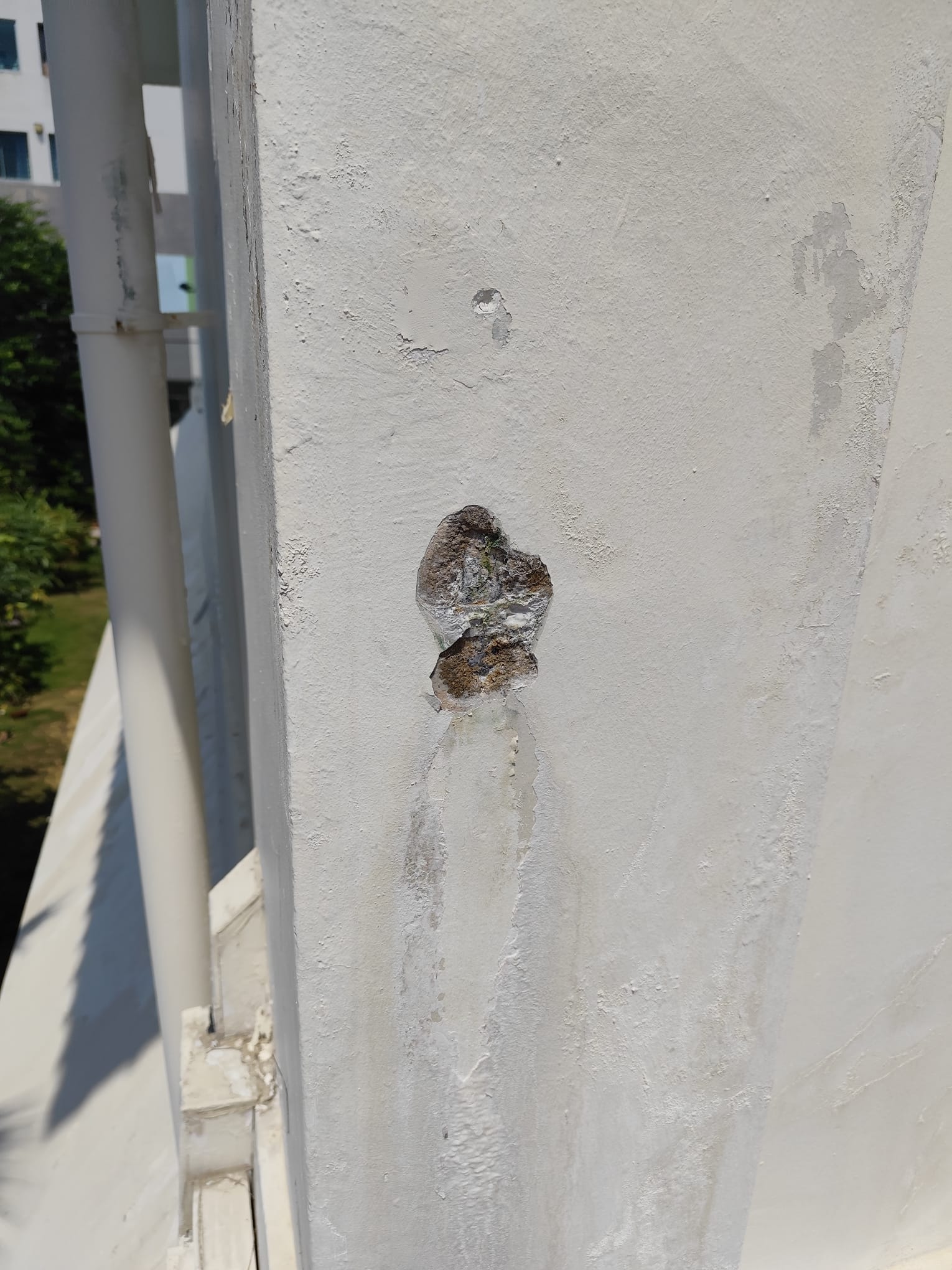 Damaged wall surface at St Gregory Hall before rectification