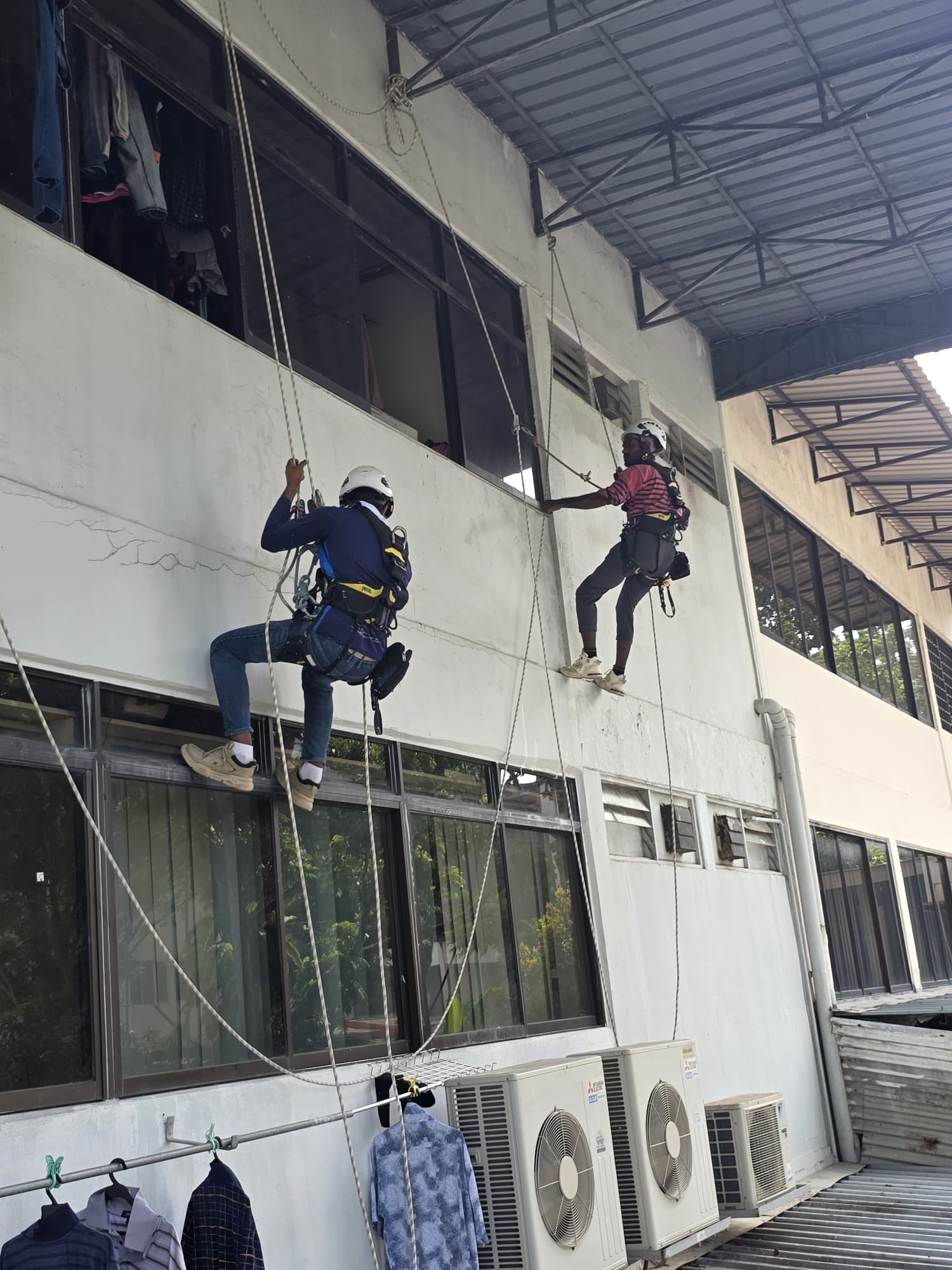 Rope-access workers carrying out close-range checks at Tagore Lane